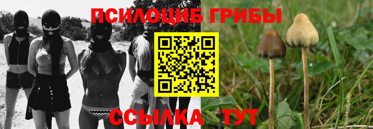 Набережные Челны  Псилоцибиновые грибы Psilocybine cubensis  Псилоцибиновые грибы Psilocybe  Вход с VPN 